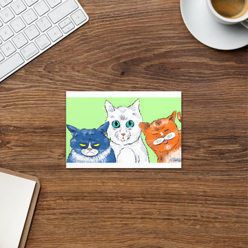 Funny Cats Landscape - Standard Postcard